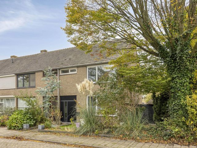 Beethovenhof 40, Terneuzen