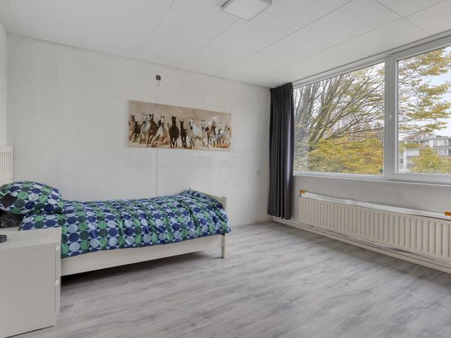 Beethovenhof 40, Terneuzen