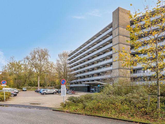 Cruquiuslaan 156, Leiden