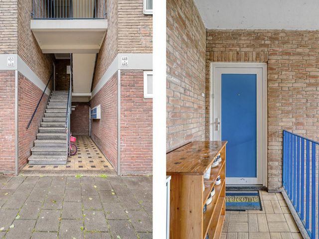 Poelenburg 448, Zaandam