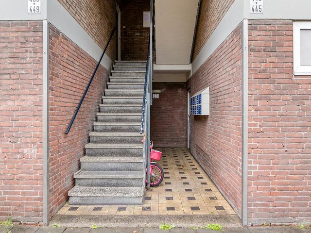 Poelenburg 448, Zaandam