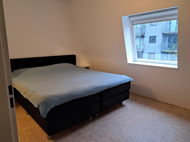 Hamerstraat 67N, Den Haag