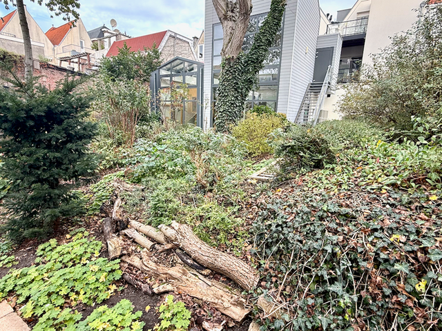 Hamerstraat 67N, Den Haag