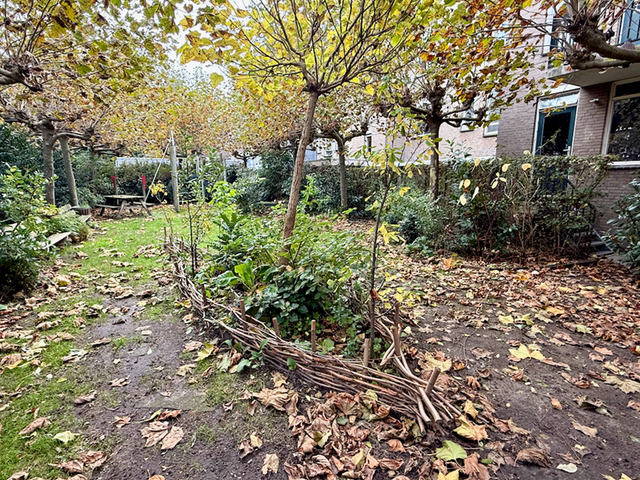 Hamerstraat 67N, Den Haag