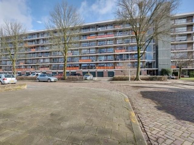 Matenalaan ONG, Arnhem