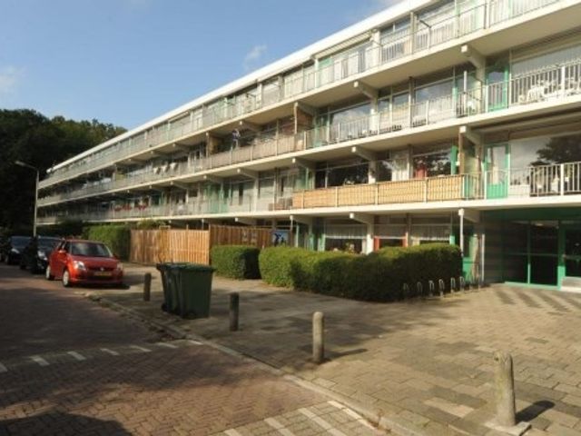 Pijperring ONG, Delft