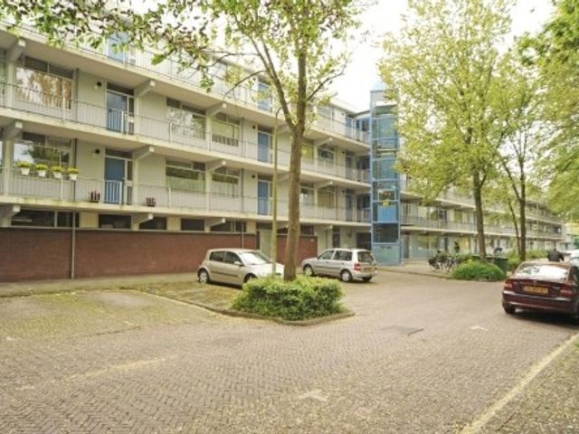 Pijperring ONG, Delft