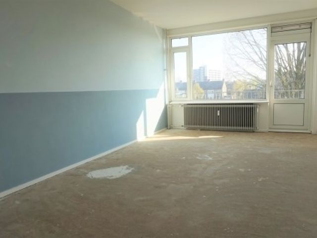 Maassingel ONG, 's-Hertogenbosch