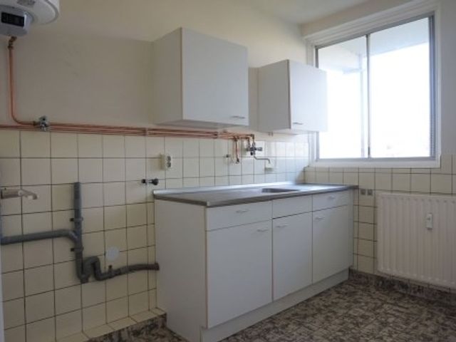 Maassingel ONG, 's-Hertogenbosch