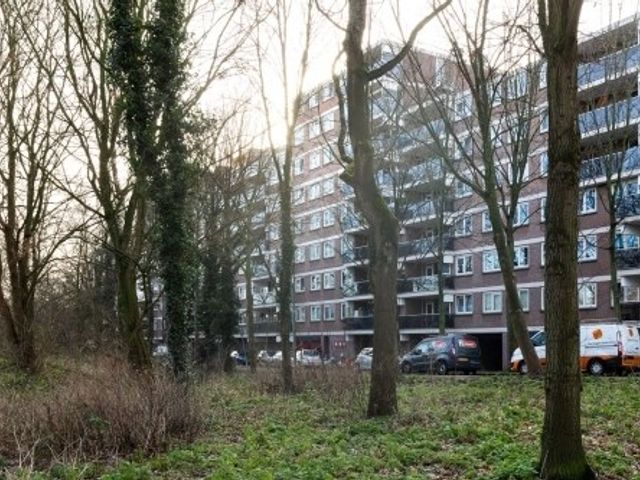 Sandenburg ONG, Haarlem