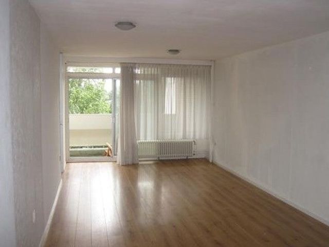 Jacques Urlusplantsoen ONG, Leiden