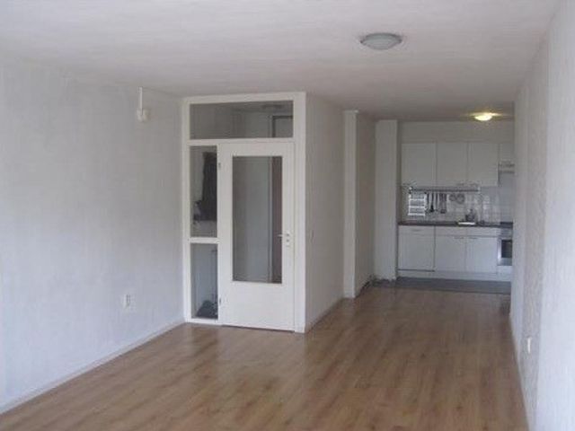 Jacques Urlusplantsoen ONG, Leiden