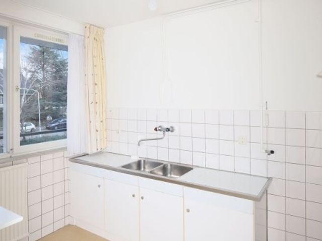 Apollolaan ONG, Leiden