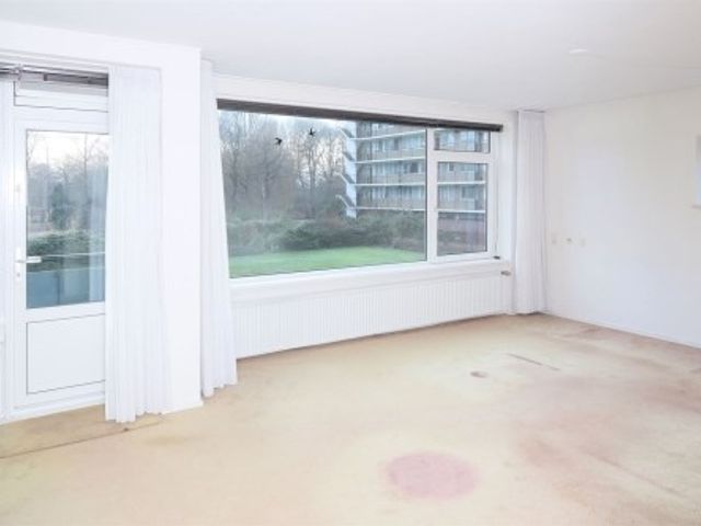 Apollolaan ONG, Leiden