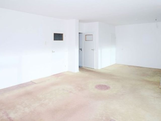 Apollolaan ONG, Leiden