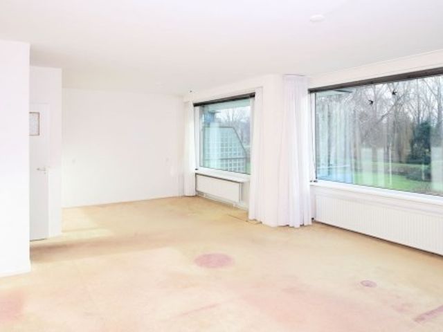 Apollolaan ONG, Leiden