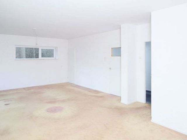 Apollolaan ONG, Leiden