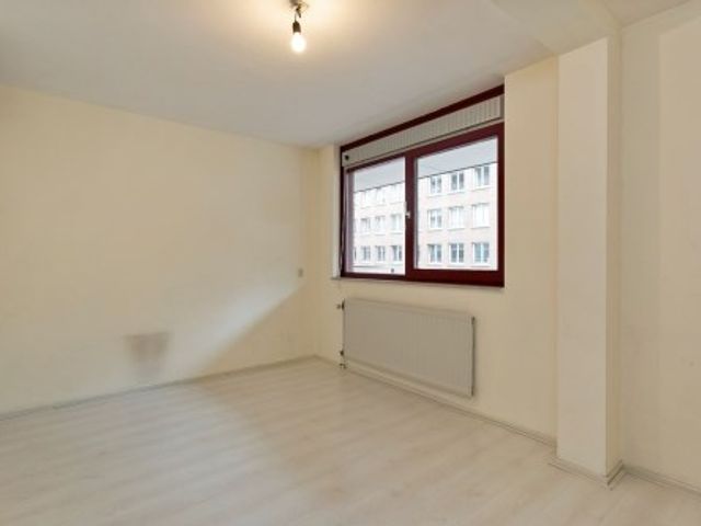 Sphinxlunet ONG, Maastricht