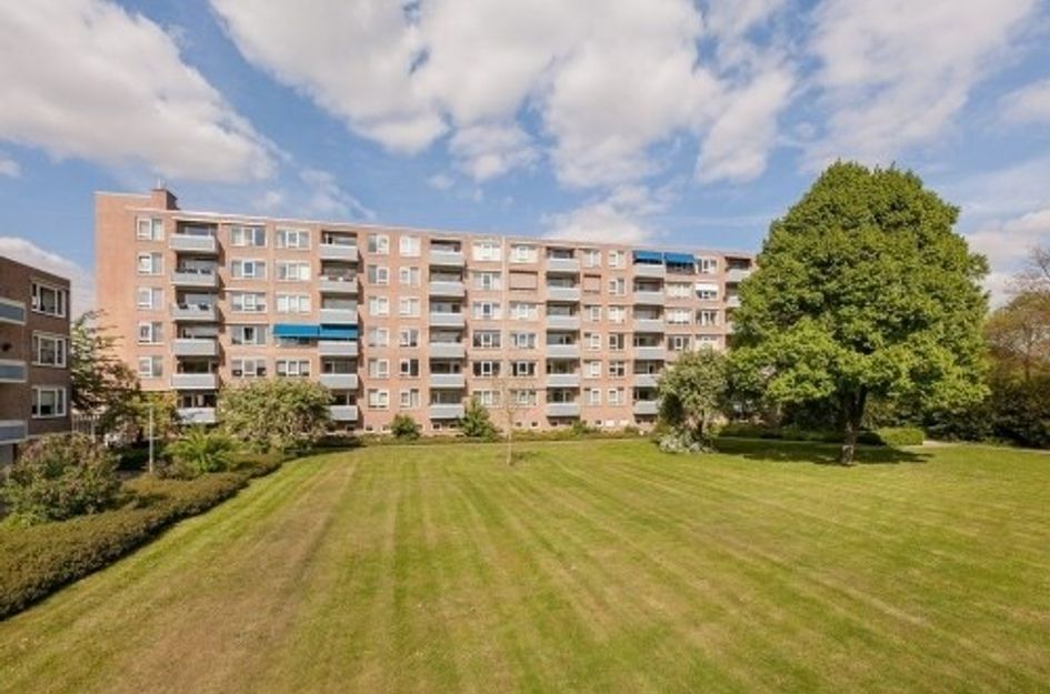 Albert Cuypstraat ONG