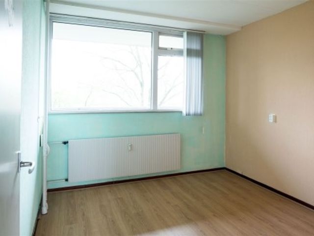 Stadhoudersring ONG, Zoetermeer