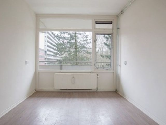 Spuikreek ONG, Rotterdam