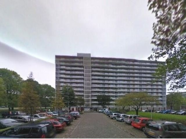 Spuikreek ONG, Rotterdam