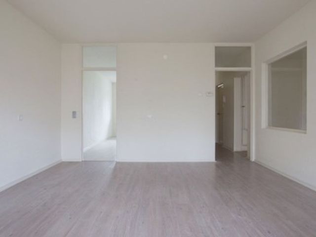 Spuikreek ONG, Rotterdam