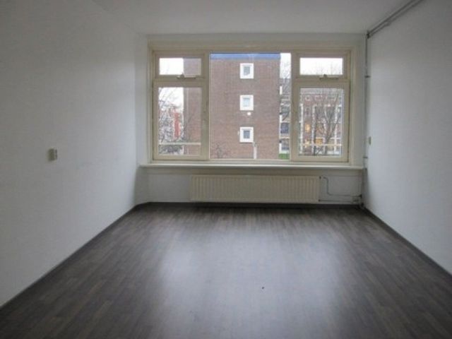 Franselaan ONG, Rotterdam