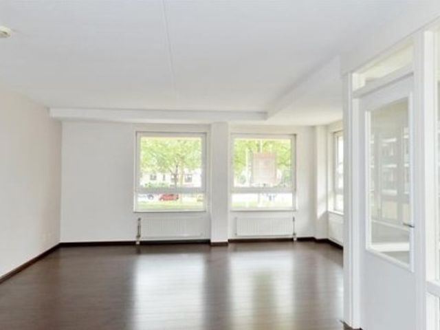 Lotustuin ONG, Rotterdam