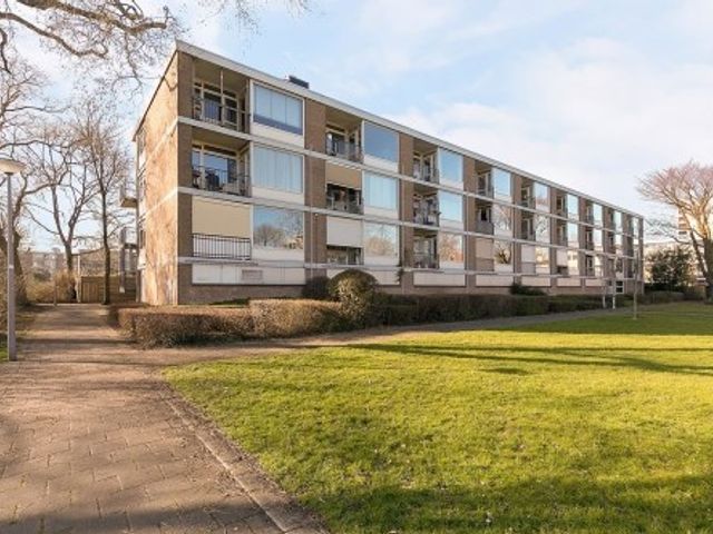 Platostraat ONG, Rotterdam