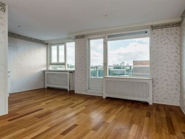 Vasteland ONG, Rotterdam