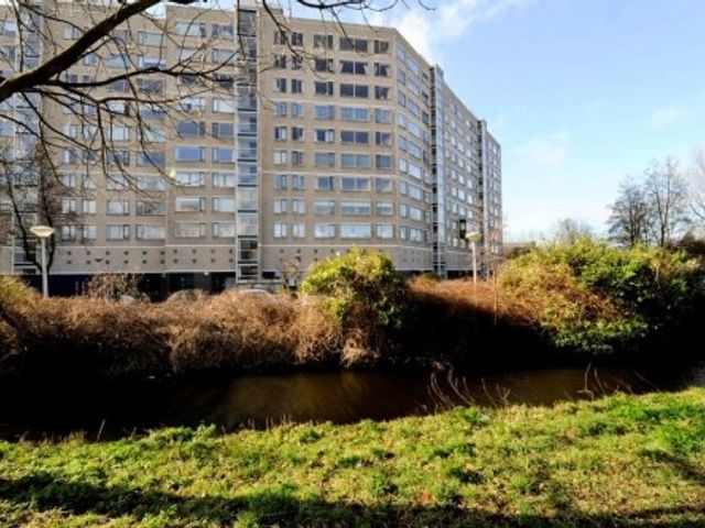 Forellendaal ONG, Den Haag