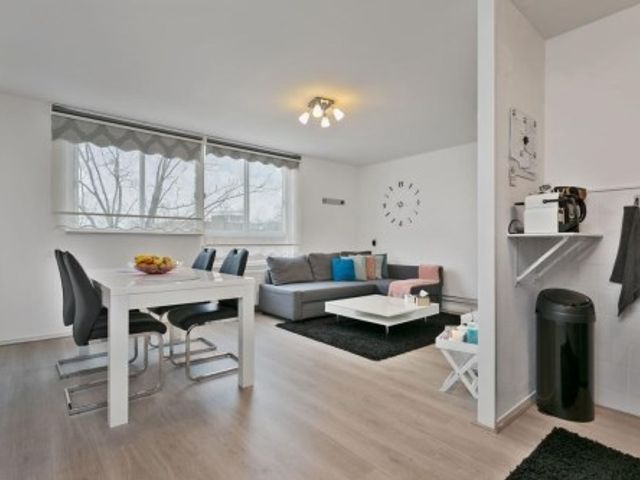 Forellendaal ONG, Den Haag