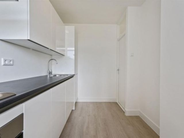 De la Reyweg ONG, Den Haag