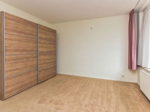 Denenburg ONG, Den Haag