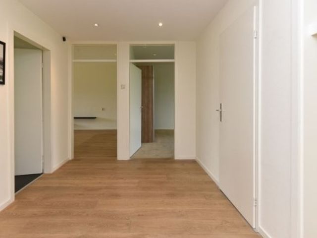 Denenburg ONG, Den Haag