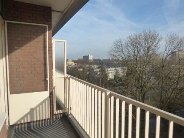 Kornalijnhorst ONG, Den Haag