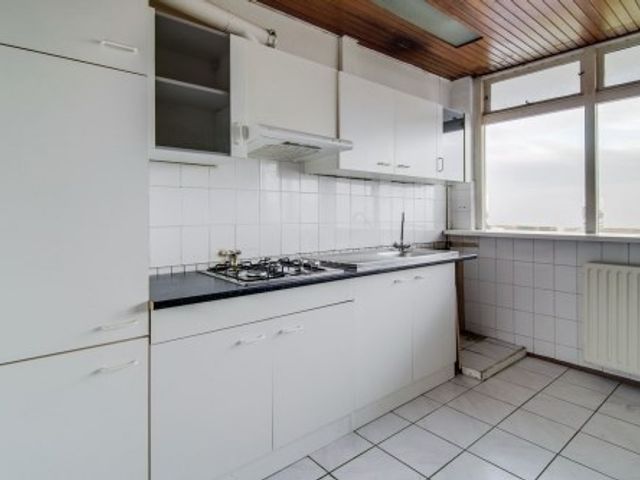 Marco Pololaan ONG, Utrecht