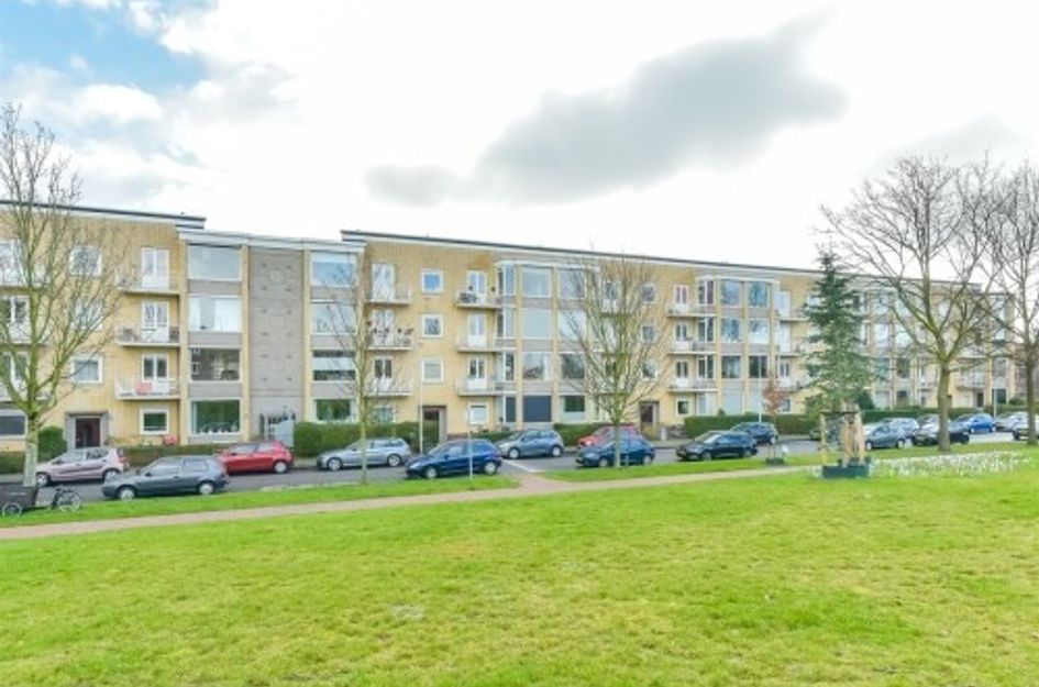 Victor Hugoplantsoen ONG