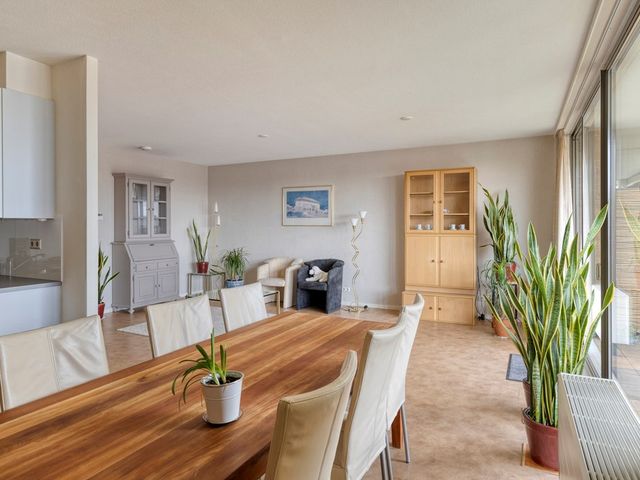 Meerkoetstraat 67, Zwijndrecht