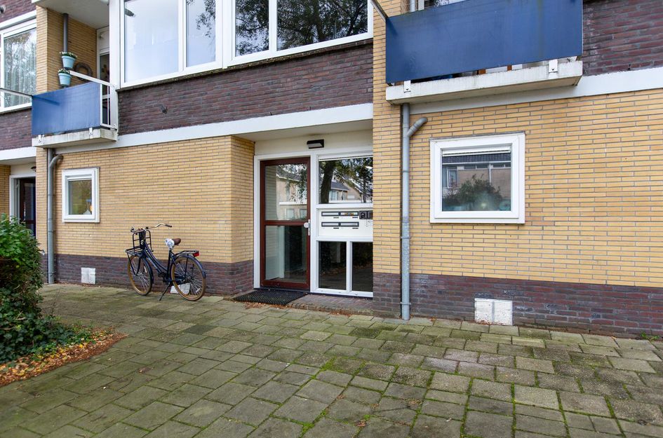Roerdompstraat 60