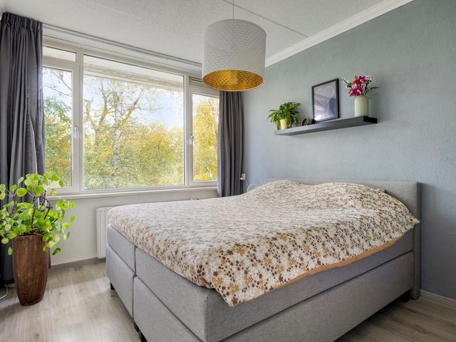 Pisanostraat 124, Eindhoven