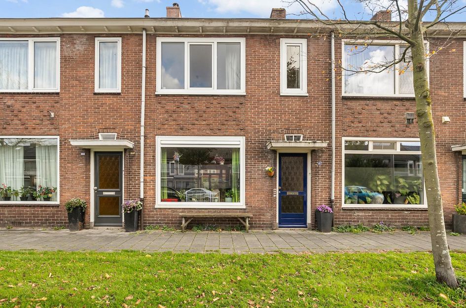 Ranonkelstraat 41