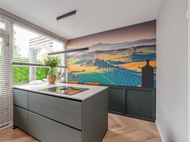 Olgaland 26, Den Haag