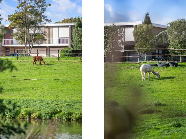 Mattenbiesstraat 64, Rotterdam