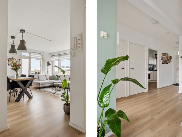 Sportlaan 242, Vlaardingen