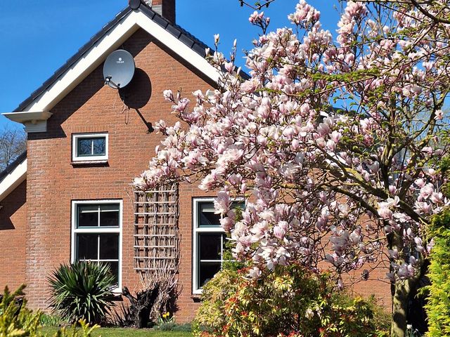 Brinkslaan 5, Schildwolde