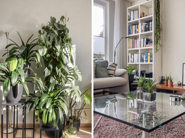 Waterman 3, Dordrecht