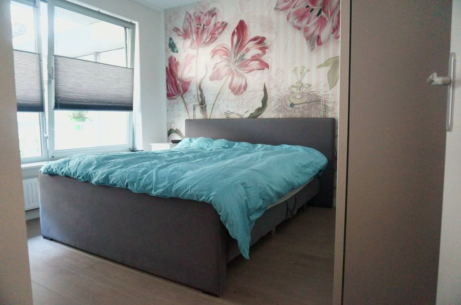 Broeder Alarmstraat 59