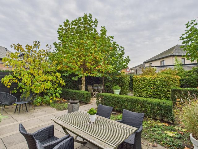 Livingstonestraat 68, Hulst